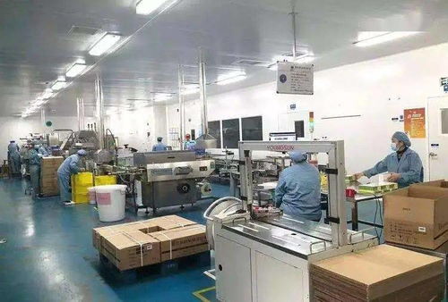 45亿粒新光源研发基地落户宝应，赋能绿色科技新发展